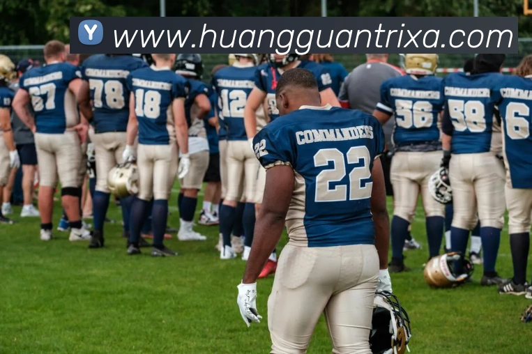 皇冠体育平台生态图